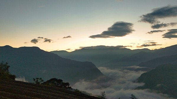 【巃頭-龍銀山天氣】阿里山日出私房秘境691524
