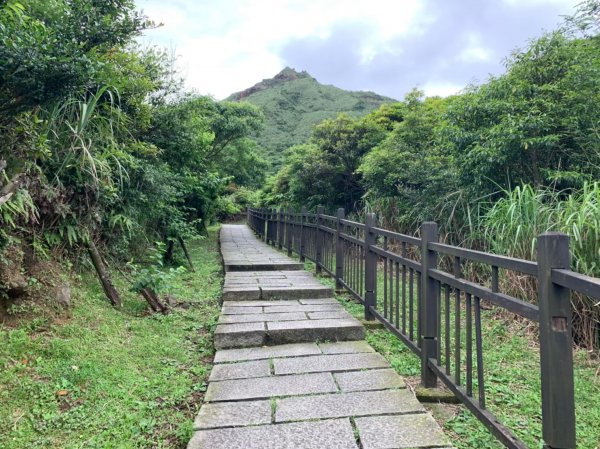 新北｜瑞芳 無耳茶壺山步道1488110