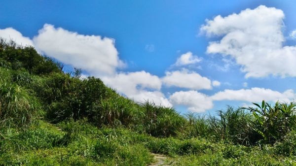 陽明山東西大縱走東段370273