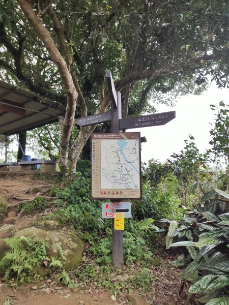 鳶山登山步道2760126