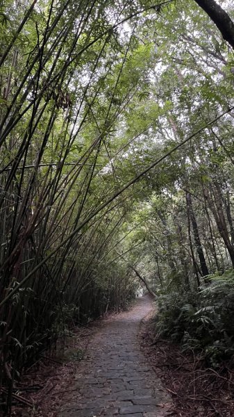 小百岳_大崙頭山2959966