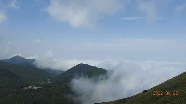 4/28陽明山再見雲海1691878