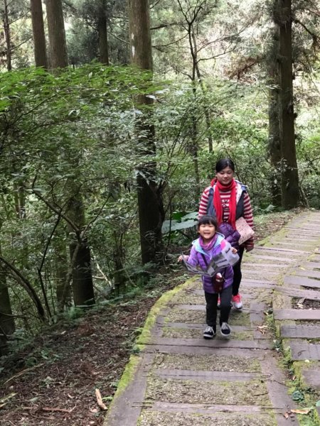 東眼森林遊樂區慢活樂趣526140