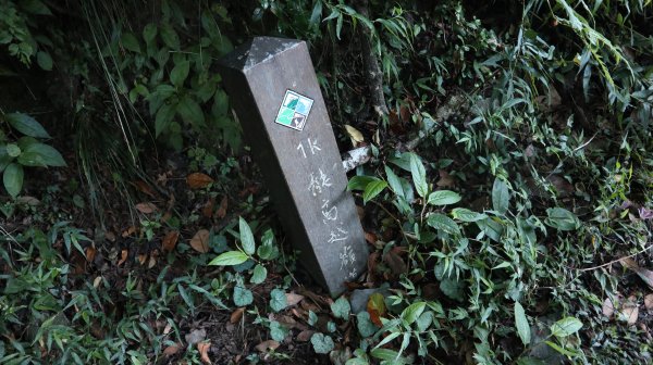 奇萊南華登山健行趣(百岳41號＆75號)1840174