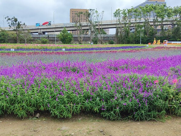 臺北大縱走第七段&第八段3019182