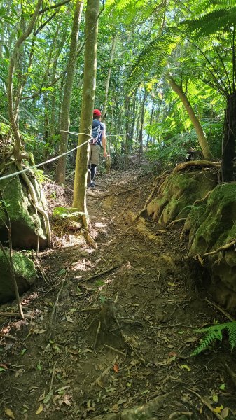 2023-11-19 楓林橋-溪山里山-甜水鴛鴦湖-帕米爾公園-聖人橋O型2352643