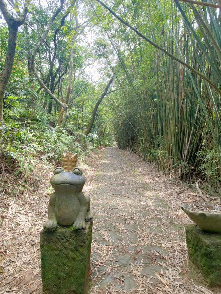 大崙頭山(小百岳#008 H476M)2022-04-231689531