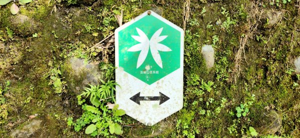 石碇獵狸尖，四分子古道，大格門古道，汐止白雲古道，汐止神社，台北黎和生態公園，宜蘭明池森林遊樂區2037657