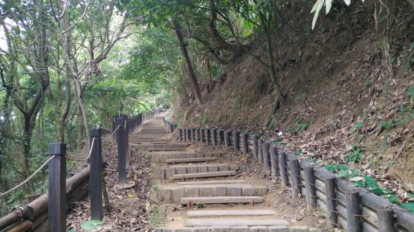 臺中 太平 三汀山、埤頭山1495918