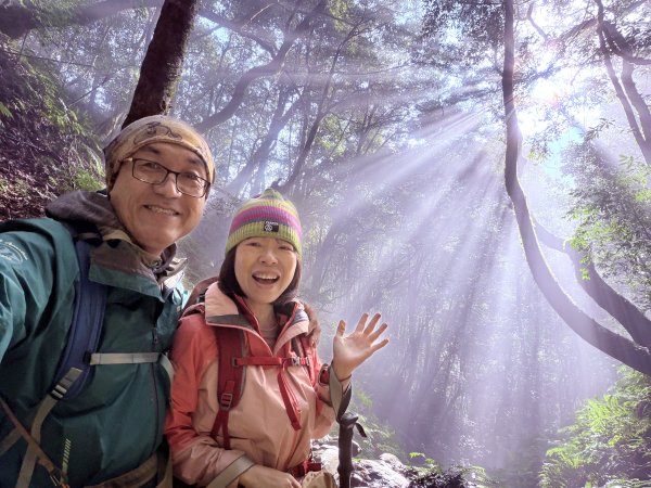 鎮西堡巨木步道B區全段+A區部分3008497