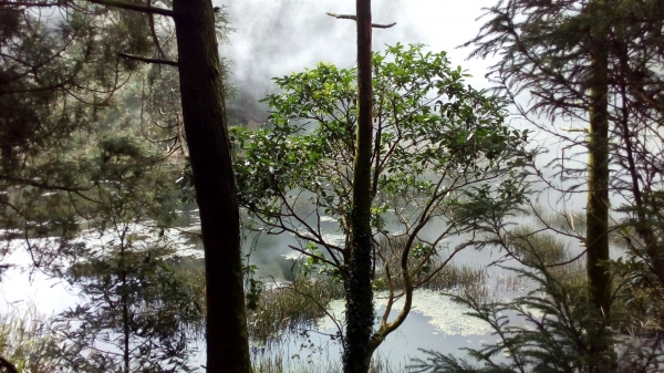 小油坑．七星山主峰．東峰．夢幻湖94938