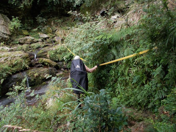 治茆山,治茆山南峰,巒山堂691185