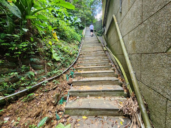 20251109四獸山步道2961740