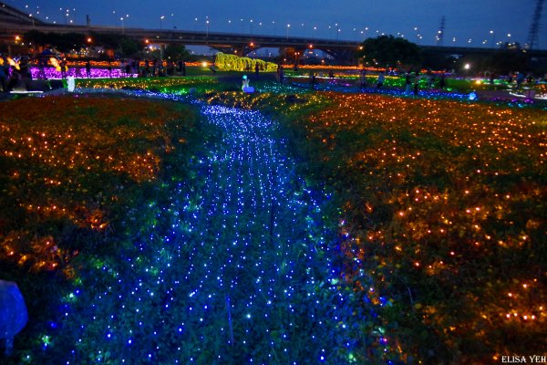 板橋蝴蝶花園—光之饗宴949669