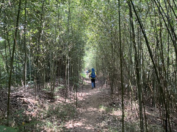 [皮皮獅Hike客任務-02/10] 2024_0720 渡南古道+飛鳳古道2557090