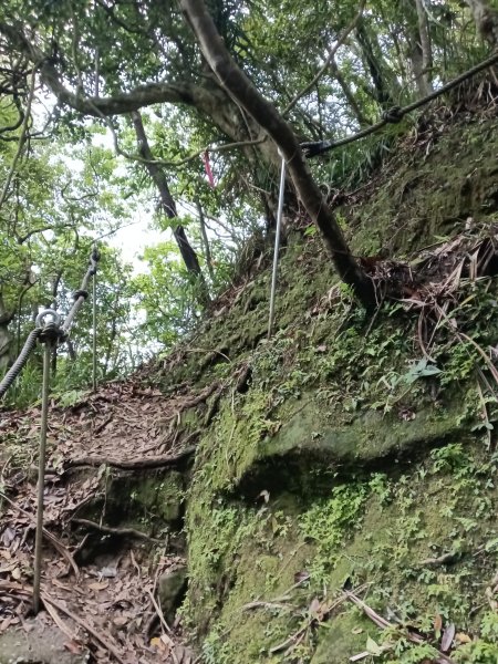 平溪區三功大厝+番子坑山+千階嶺步道O型2781171