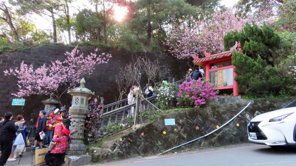 第四段B 北面步道埤頭--大湖公園站1276653