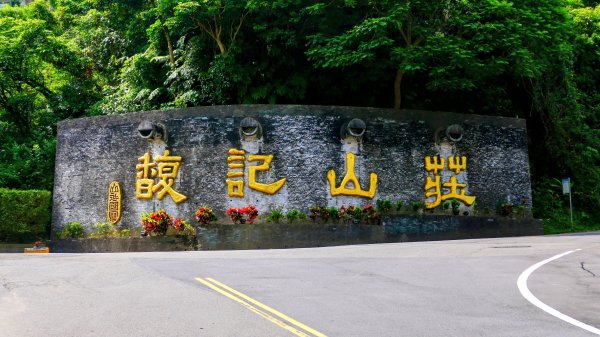 珊瑚花3066570