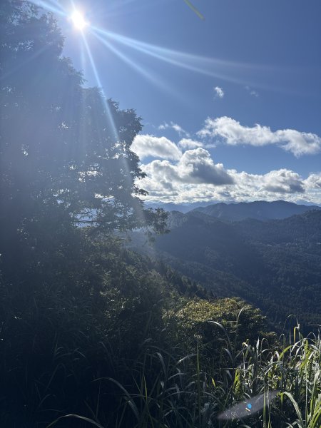 20251225塔山步道(大塔山)2970382