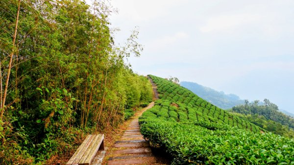 雲嘉五連峰2948651