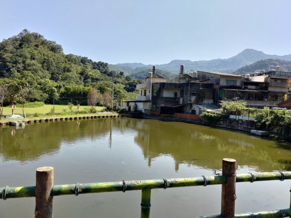 【新竹縣關西鎮】赤柯山步道2833156