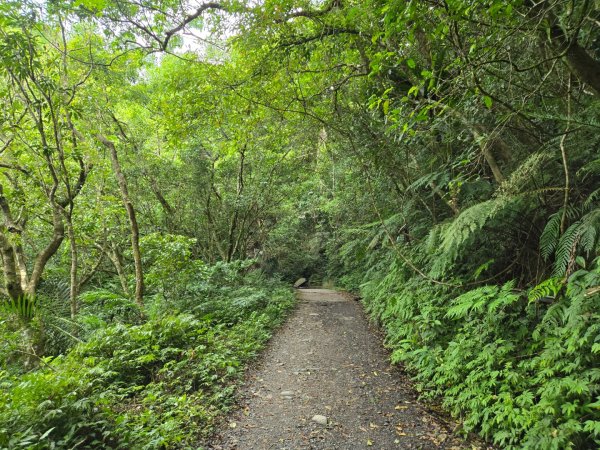聖母登山步道（抹茶山）、三角崙山（小百岳）2774096