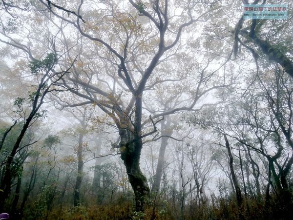 【新北市】雲森瀑布-卡保山-逐鹿山 O型