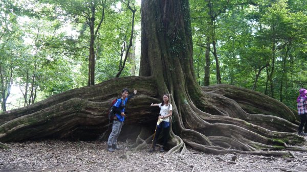 北坑山登山健行趣(中級山)