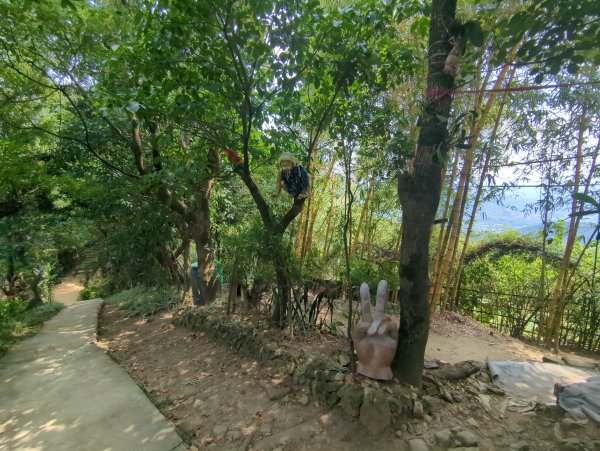 2025.08.30－微笑山線：【大棟山系】2874477