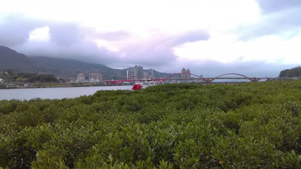 春光爛漫的淡水河左岸855992