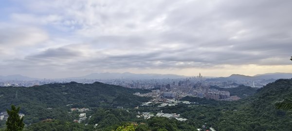 2025/05/31_烘爐地登山步道(南勢角山)2801418