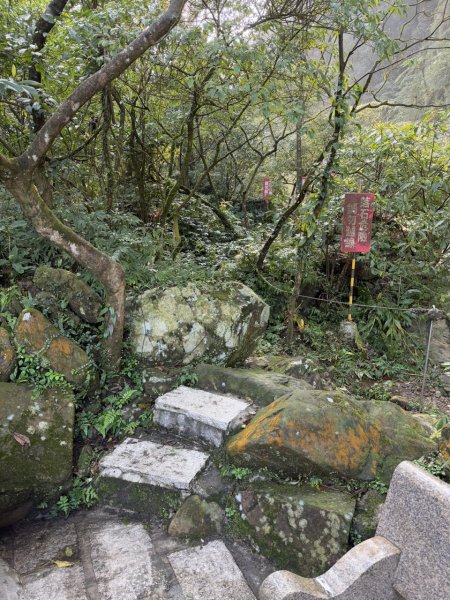 2025/02/17 姜子寮絕壁瀑布 姜子寮山2908685