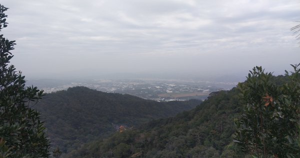 20211120_大坑5&5-1號步道(頭嵙山)1520688