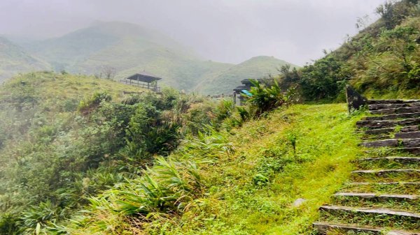 🌈11/2草嶺古道~桃源谷~灣坑頭山~大里天公廟✨FB：熊熊趴爬走🌈2928847