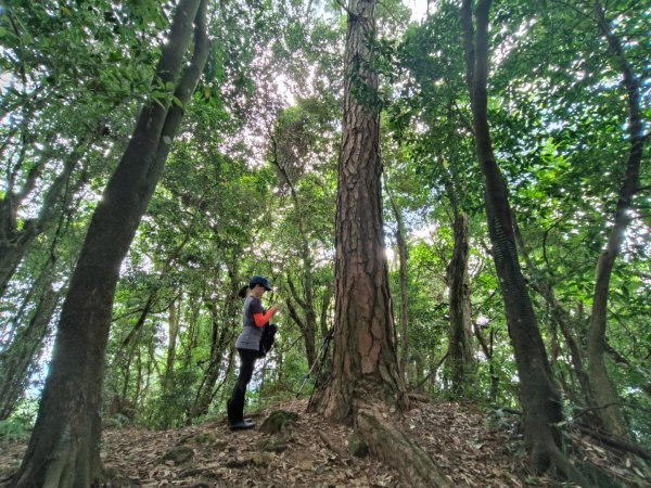 1120528 打鐵寮古道上白石山2165801