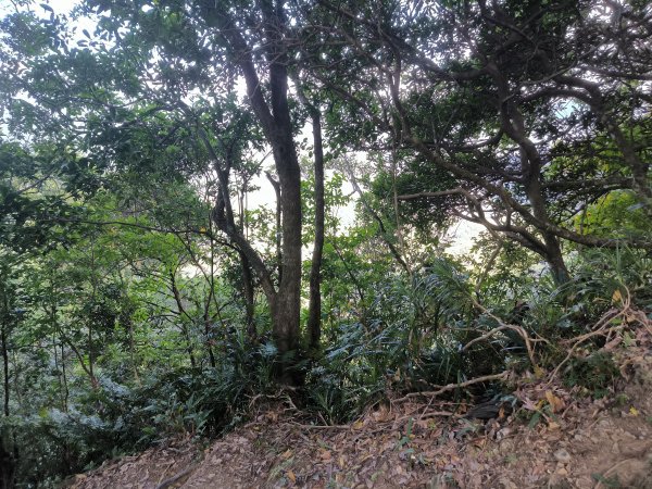 20251018微笑山線：【二格山系】皇帝殿稜線段2918634