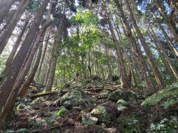 哈堪尼山2761942