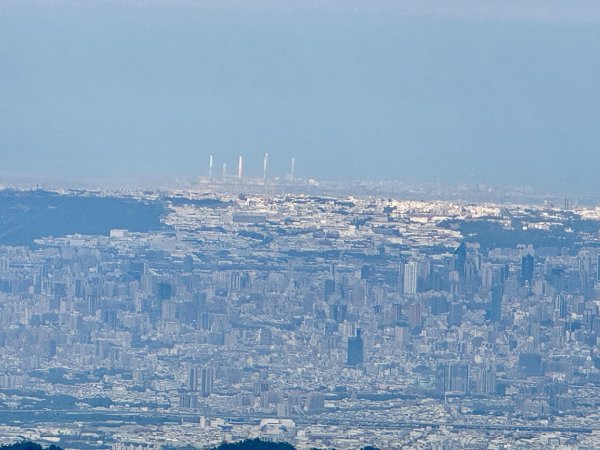 走大橫屏山九份二山(小百岳#45、47)賞梅去2695069