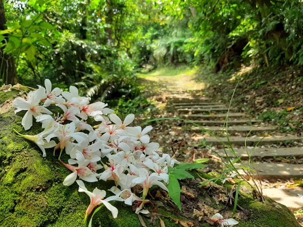 小百岳寶石〡No.16南勢角山13南港山953368