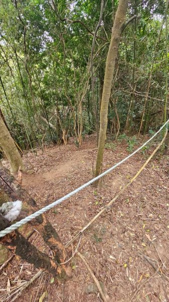 20260107竹東三山跟寶山十連峰2980134