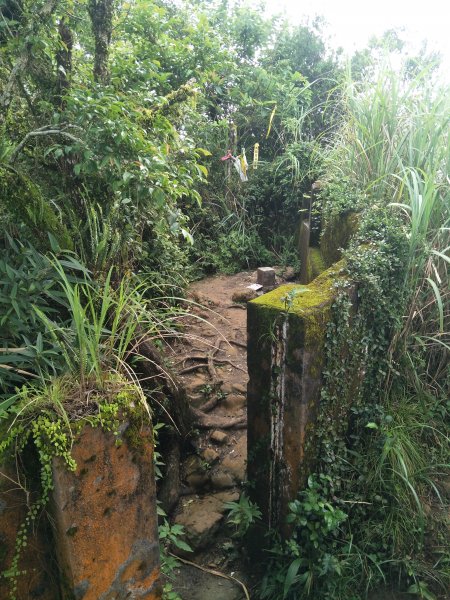 二格山登山步道(栳寮線)1703482