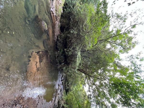 20230821_烏山-外澳古道2762699