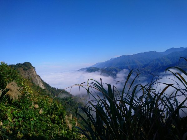 楓～雲海～馬那邦山、司令山、細道邦山連走1196468