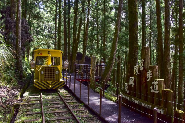 【新聞】兒童節連假期間 12歲以下兒童免費進入太平山及搭蹦蹦車