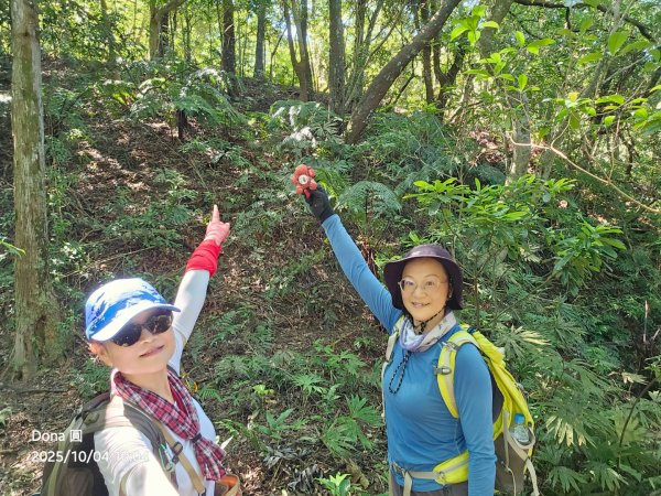 忘憂古道往白石後仙洞由東勢格古道走到平溪國中2908176