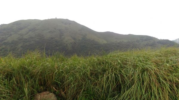 大屯山西峰後, 緊接著大屯山南峰174708