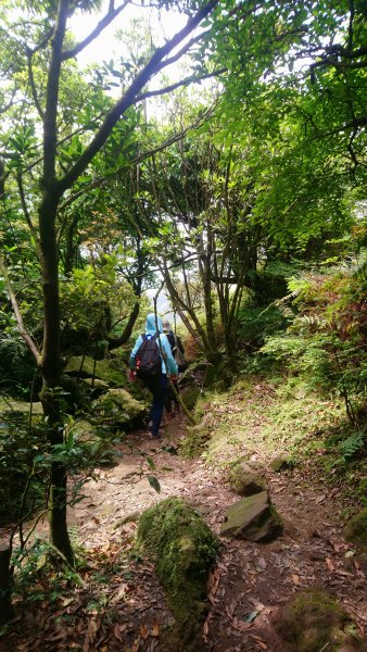 茶壺山、半屏山o縱950863