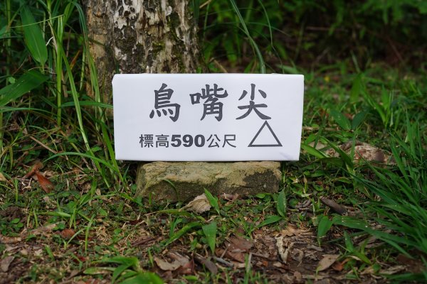 新北 新店 石碇後山、赤腳蘭山、暗寶劍山、鳥嘴尖2793492