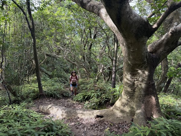 劍潭山+老地方202507192863867