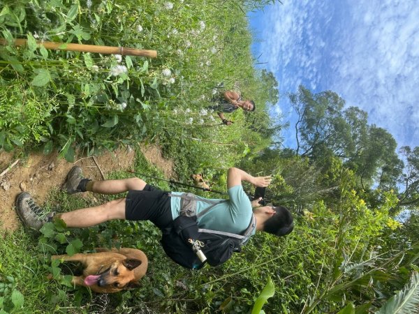 苗栗縣獅潭鄉鳴凰古道O型縱走2803646